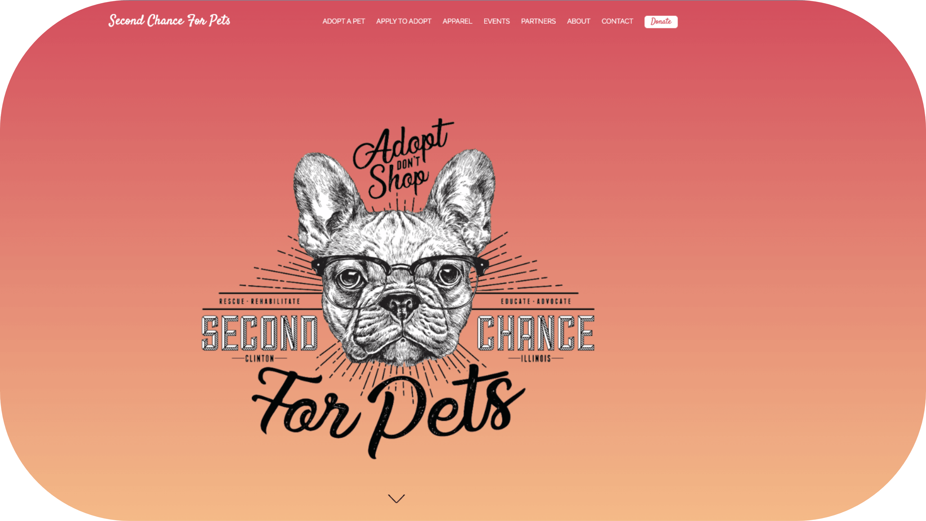 Second Chance for Pets website banner